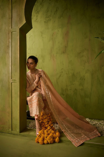 Dhanak | Festive Formals | SS24DU-3199 L-PINK 3Pcs - Pakistani Designer Dress - by Dhanak | Type: Formal - 100% Original at Saira Sultan