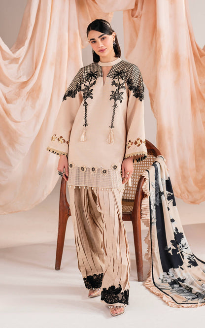 Asifa and Nabeel | Winter Meraki 24 | Cascade-MW-13 - Pakistani Designer Dress - by Asifa and Nabeel | Type: Ladies Clothes - 100% Original at Saira Sultan