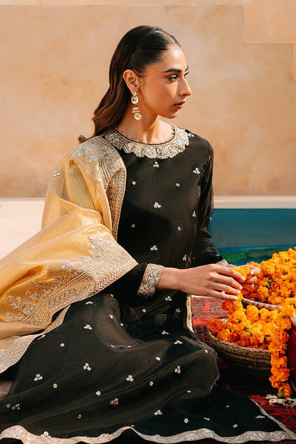 Cross Stitch | Eid Collection | RAVEN ETHEREAL - Pakistani Designer Dress - by Cross Stitch | Type: Luxury - 100% Original at Saira Sultan