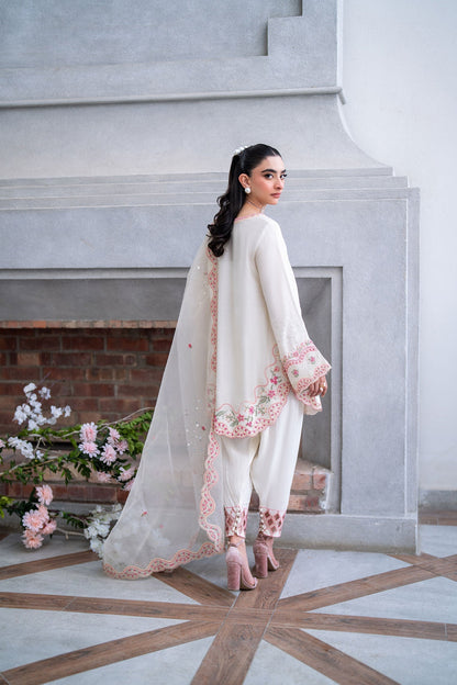 Dhanak | SS 25 Luxury Pret | SS25DL-0317 M Ivory Cotton Net