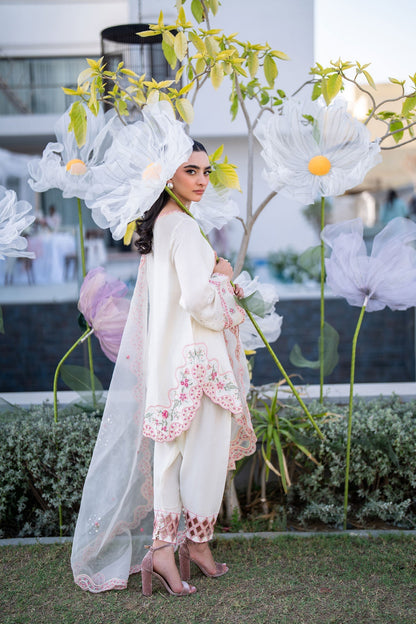 Dhanak | SS 25 Luxury Pret | SS25DL-0317