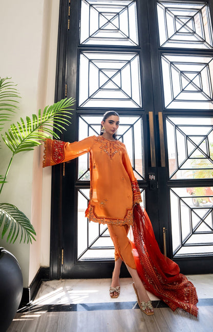 Dhanak | SS 25 Luxury Pret | SS25DL-0314 L Orange Sheesha Silk