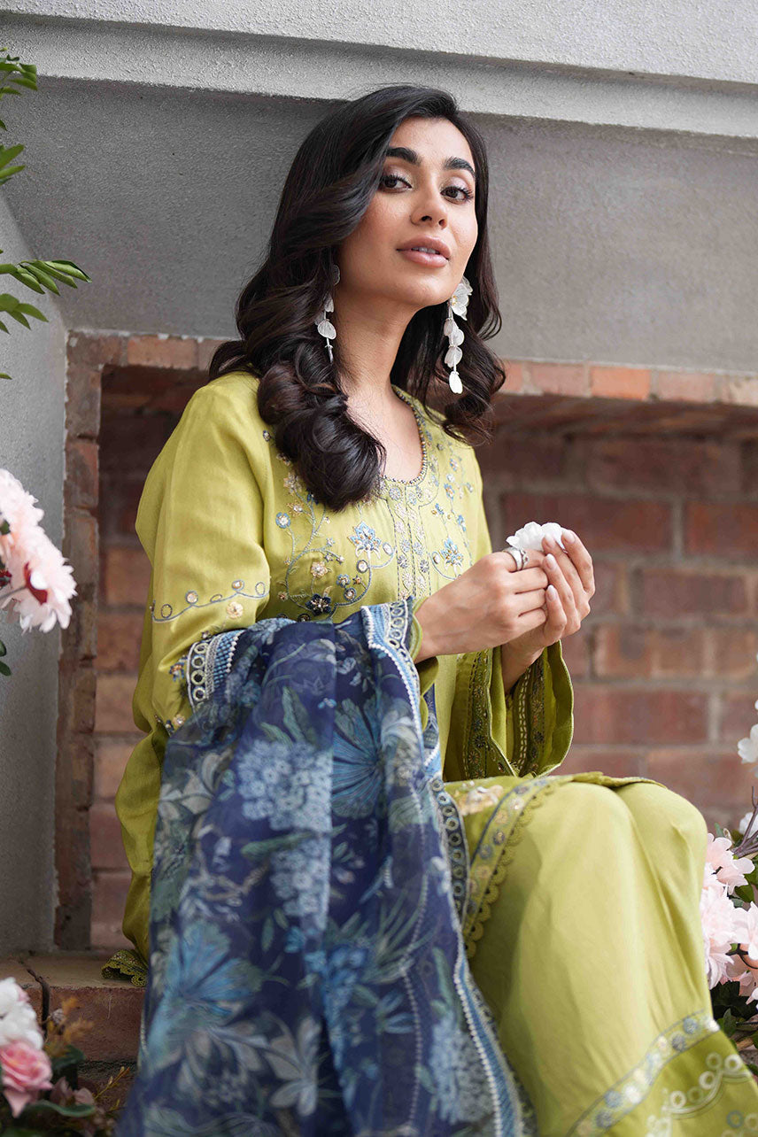 Dhanak | SS 25 Luxury Pret | SS25DL-0318 L Neon Green Cotton Silk