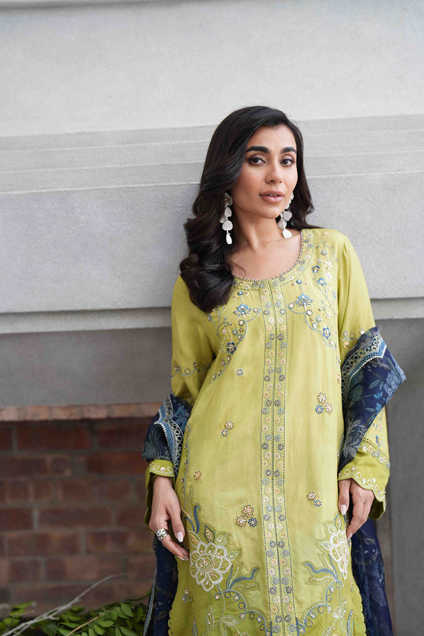 Dhanak | SS 25 Luxury Pret | SS25DL-0318 M Neon Green Cotton Silk