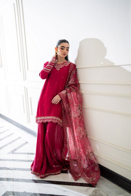 Dhanak | SS 25 Luxury Pret | SS25DL-0319 XS Red Cotton Silk