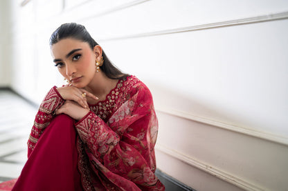 Dhanak | SS 25 Luxury Pret | SS25DL-0319 L Red Cotton Silk