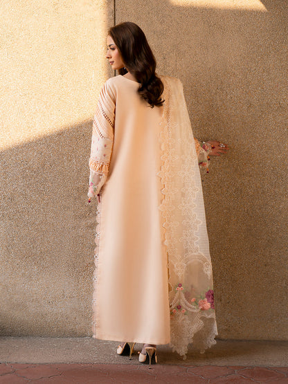 Parishay | Dil e Raqsam Festive Eid Lawn | DR-02 S Peach Lawn