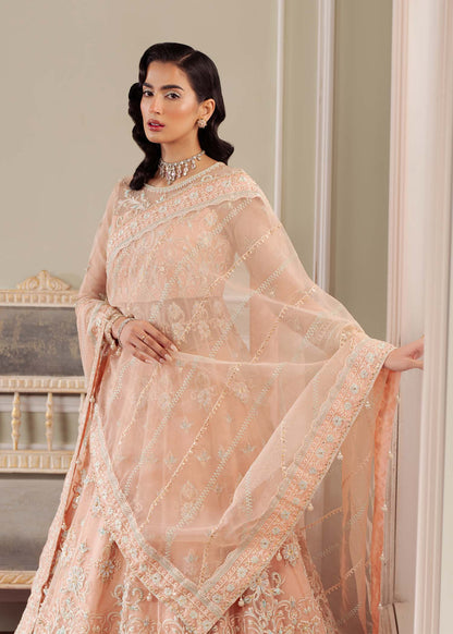 Dastoor | Airah Festive 25 | Cascade L Peach Pink Organza