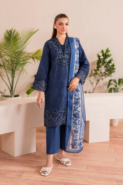 Xenia Formals | Printkari 25 | BRIRA S Blue Lawn