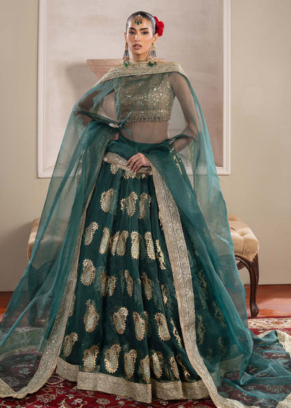 Dastoor | Airah Festive 25 | Aurelia L Bottle Green Net