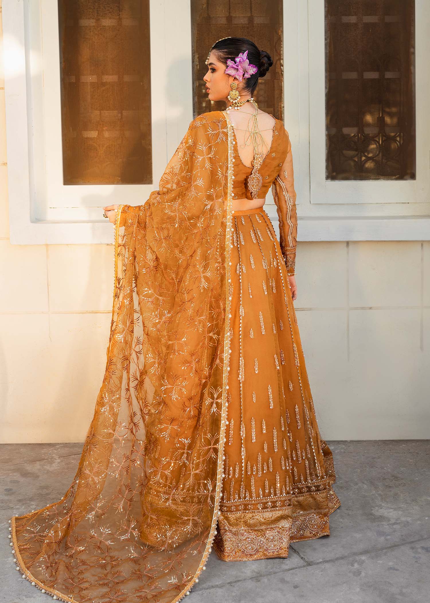 Shurooq | Zara Edit 24 | Dhoop Kinaray S Orange Organza