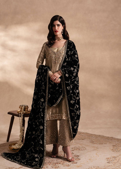 Sadaf Fawad Khan | Nafees Formals 25 | Nuhaz - Pakistani Designer Dress - by Sadaf Fawad Khan | Type: Ladies Clothes - 100% Original at Saira Sultan