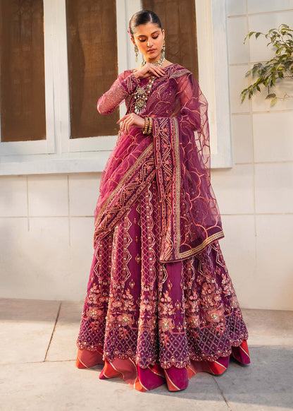 Shurooq | Zara Edit 24 | Ankahi M Magenta Net
