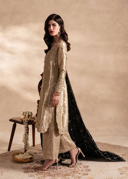 Sadaf Fawad Khan | Nafees Formals 25 | Nuhaz - Pakistani Designer Dress - by Sadaf Fawad Khan | Type: Ladies Clothes - 100% Original at Saira Sultan