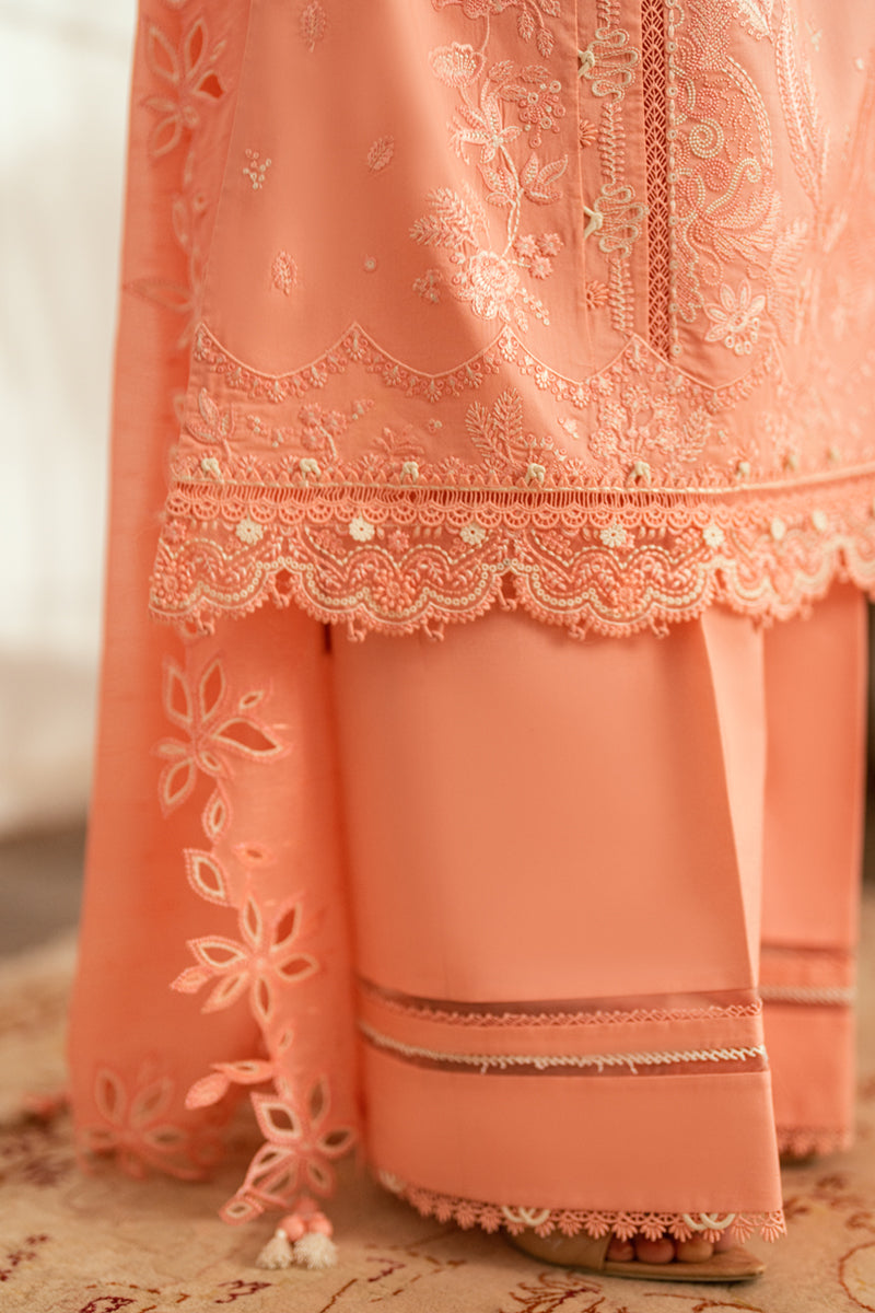 Qalamkar | Luxury Lawn Eid Edit | SB-12 Jafa XL Peach Pink Lawn