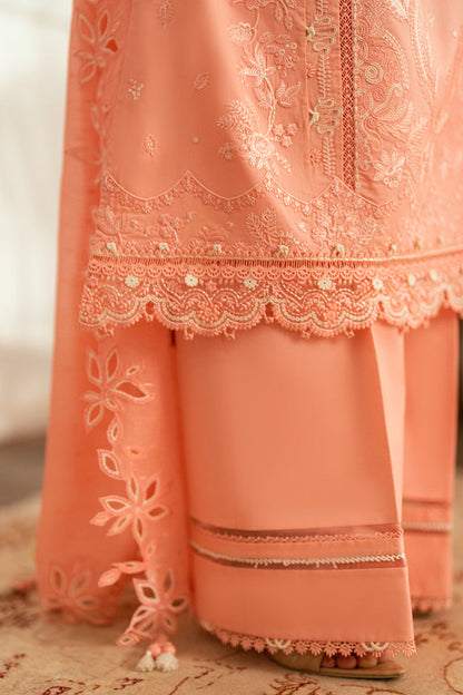 Qalamkar | Luxury Lawn Eid Edit | SB-12 Jafa XL Peach Pink Lawn
