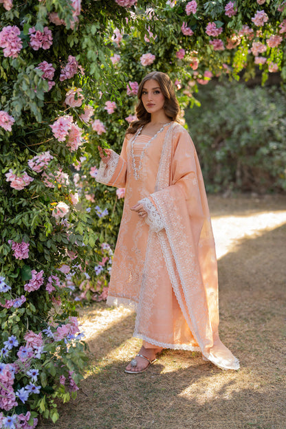Florent | Chikankari Eid 25 | FLC-1B XS Peach Pink Lawn