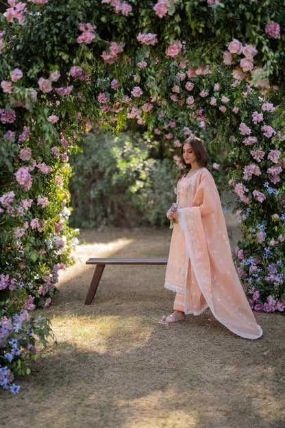 Florent | Chikankari Eid 25 | FLC-1B XL Peach Pink Lawn