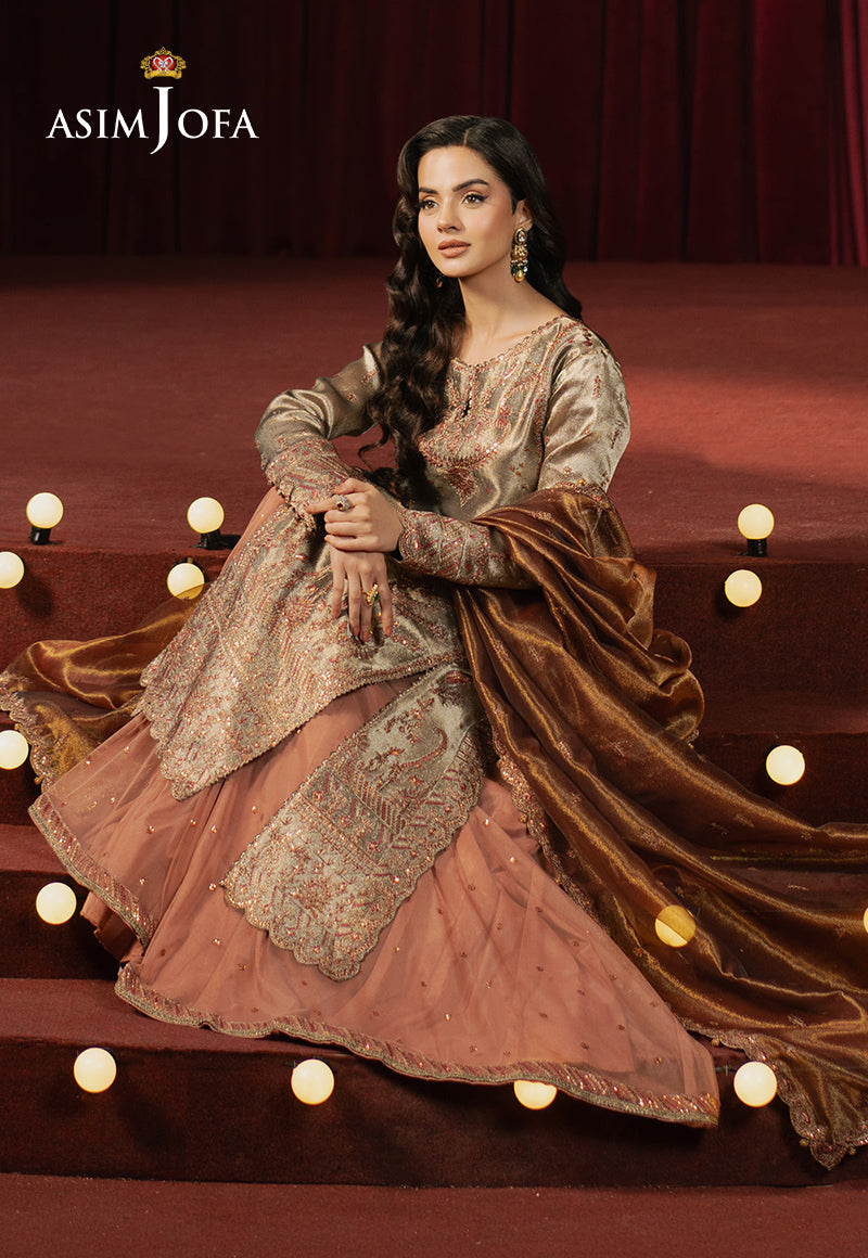 Asim Jofa | Premium Festive | AJPF-16 L Silver Zari Tissue