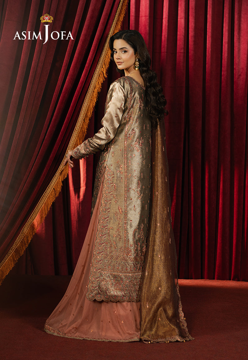 Asim Jofa | Premium Festive | AJPF-16 S Silver Zari Tissue