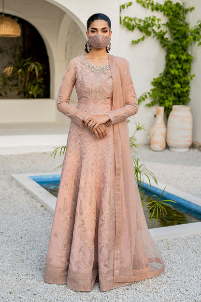 Flossie | Naqsh Formals | S-1407 XS Pale Peach Organza