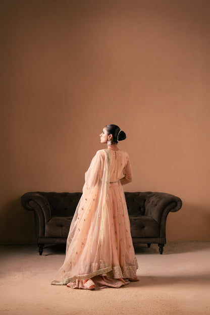 Malook | Rashq e Qamar | Sitara S Pale Peach Net