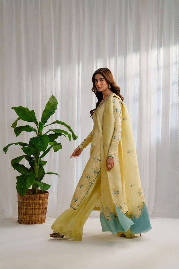 Nyra | Luxe Line Pret | Evara by Nyra - Designer Dress - Type : Ladies Clothes - Available at Saira Sultan - 100% Original 