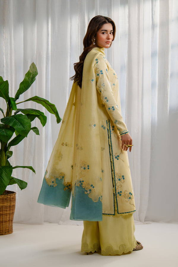 Nyra | Luxe Line Pret | Evara by Nyra - Designer Dress - Type : Ladies Clothes - Available at Saira Sultan - 100% Original 