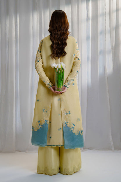 Nyra | Luxe Line Pret | Evara by Nyra - Designer Dress - Type : Ladies Clothes - Available at Saira Sultan - 100% Original 