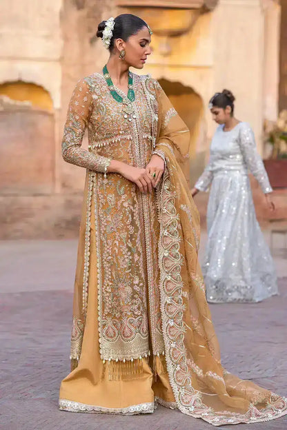 Afrozeh | Dastangoi Wedding Formals | Shafaq - Pakistani Designer Dress - by Afrozeh | Type: Bridal - 100% Original at Saira Sultan