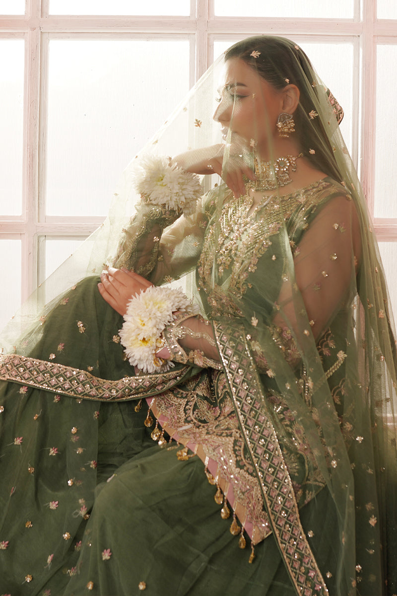 Maryams | Tabeer Luxury Collection |Naina Custom Size Olive Green Khaddi Net
