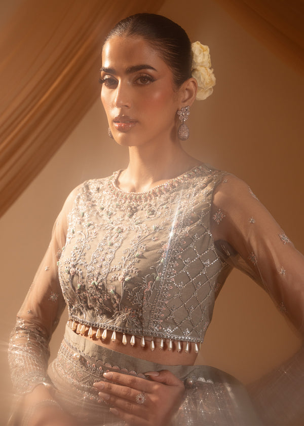 Paras by Pasha | Noor -e- Jahan Saree Collection | Abr-e-Shaam M Gray Net