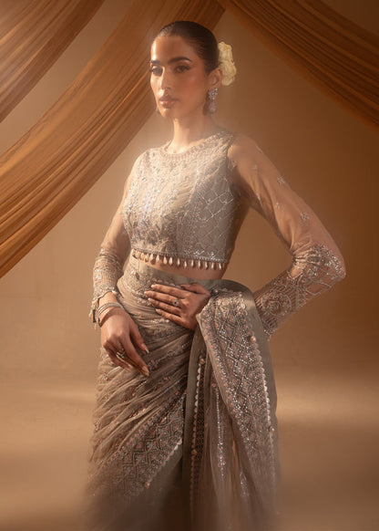 Paras by Pasha | Noor -e- Jahan Saree Collection | Abr-e-Shaam XL Gray Net
