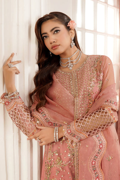 Maryams | Tabeer Luxury Collection | Sibel Custom Size Soft Pink Organza