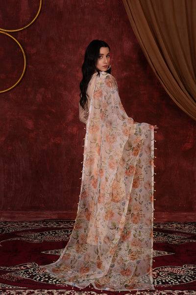 House of Nawab | Luxury Formals | JULIET - Pakistani Designer Dress - by House of Nawab | Type: Formal - 100% Original at Saira Sultan