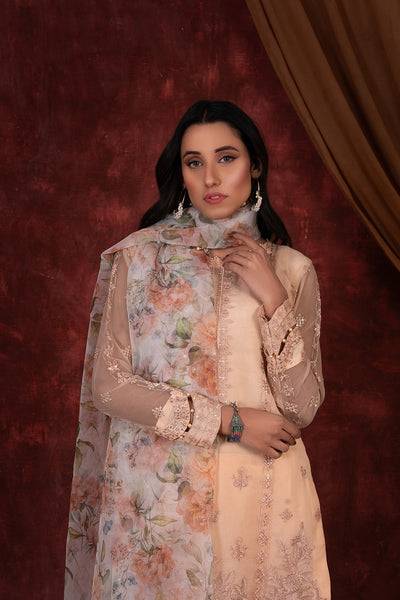 House of Nawab | Luxury Formals | JULIET - Pakistani Designer Dress - by House of Nawab | Type: Formal - 100% Original at Saira Sultan