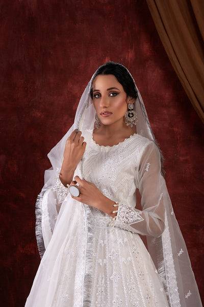 House of Nawab | Luxury Formals | AZKA - Pakistani Designer Dress - by House of Nawab | Type: Formal - 100% Original at Saira Sultan