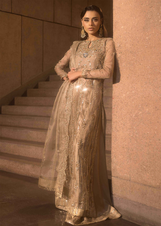 Mahum Asad | Dream a Little Dream of Me | Shimmer XS Silver Gold Zari Net