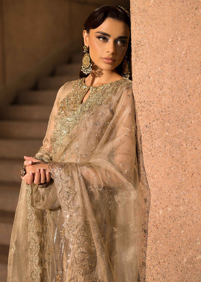Mahum Asad | Dream a Little Dream of Me | Shimmer L Silver Gold Zari Net