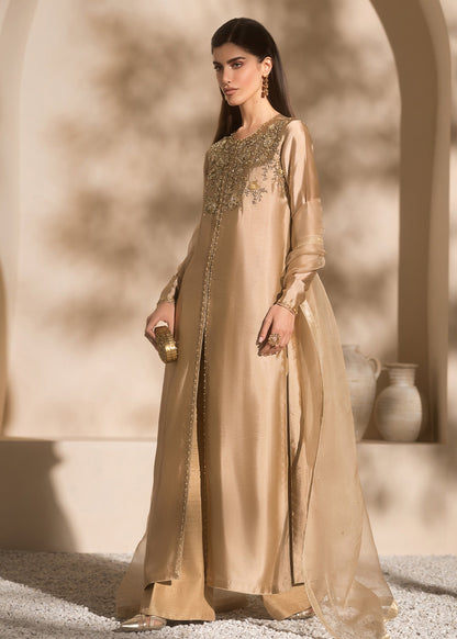Mahum Asad | Breaking the Bar | Charm S Beige Pure Silk Tissue
