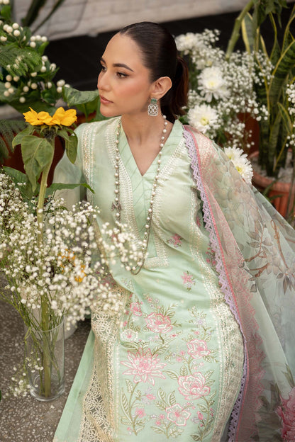 Maira B | Ready to Wear | DW-EF25-151