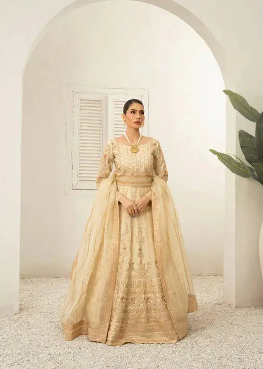 Daud Abbas | Shehnai Festive Formals 24 | Jahan - Pakistani Designer Dress - by Daud Abbas | Type: Formal - 100% Original at Saira Sultan