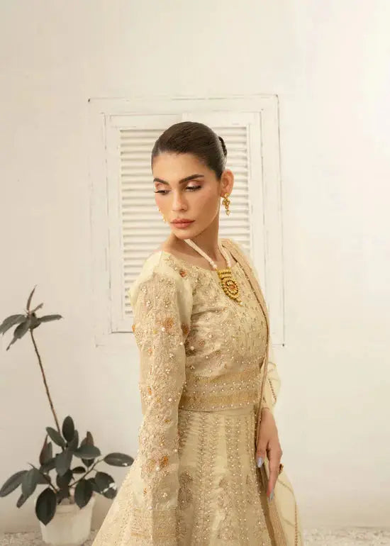 Daud Abbas | Shehnai Festive Formals 24 | Jahan - Pakistani Designer Dress - by Daud Abbas | Type: Formal - 100% Original at Saira Sultan