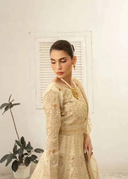 Daud Abbas | Shehnai Festive Formals 24 | Jahan - Pakistani Designer Dress - by Daud Abbas | Type: Formal - 100% Original at Saira Sultan