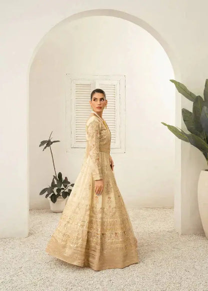 Daud Abbas | Shehnai Festive Formals 24 | Jahan - Pakistani Designer Dress - by Daud Abbas | Type: Formal - 100% Original at Saira Sultan