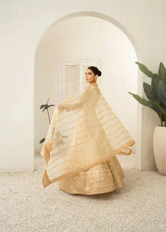 Daud Abbas | Shehnai Festive Formals 24 | Jahan - Pakistani Designer Dress - by Daud Abbas | Type: Formal - 100% Original at Saira Sultan