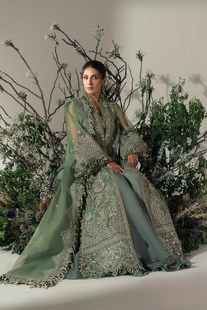 Elan | Wedding Festive 24 | JARDIN DE RŠVES (EC24-05) M Deep Olive Green Poly Organza