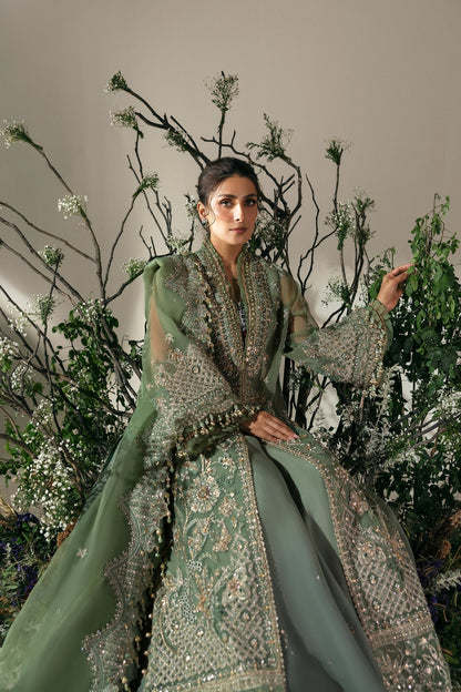 Elan | Wedding Festive 24 | JARDIN DE RŠVES (EC24-05) XL Deep Olive Green Poly Organza