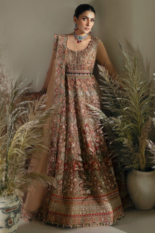 Elan | Wedding Festive 24 | MAHARANI (EC24-04) XS Beige Poly Organza