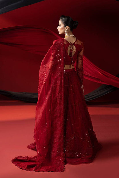 Ellena | Luxury Collection | 05 - Pakistani Designer Dress - by Ellena | Type: Formal - 100% Original at Saira Sultan
